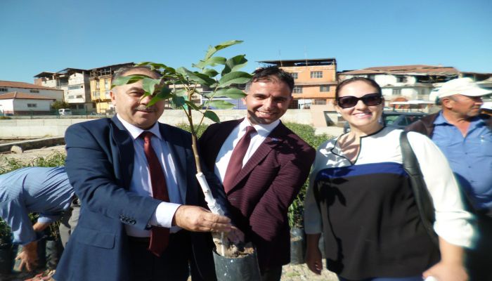 Kulalı Üreticilere Ceviz Fidanı Desteği