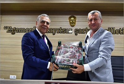 Kuzey yıldızı