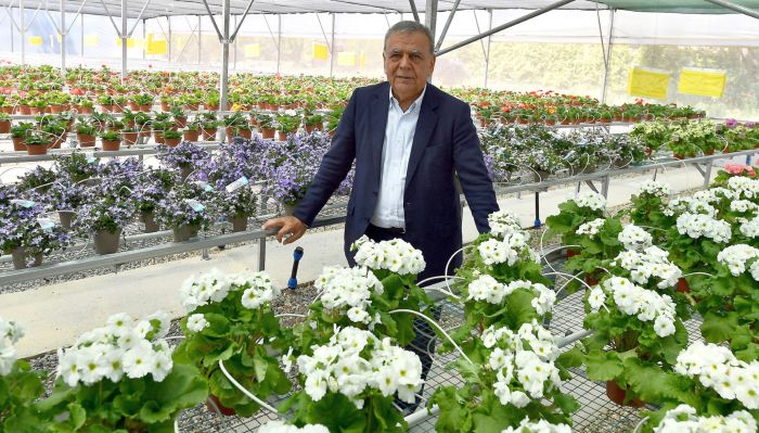 Hollanda’ya çiçek ihraç ediyorlar