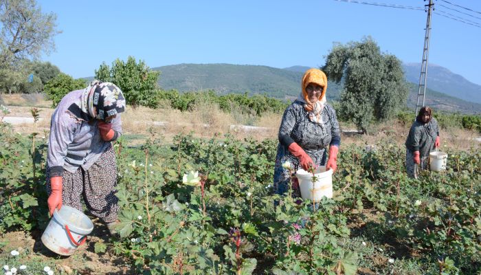 “Değerlerimizi Tanıtıyoruz”