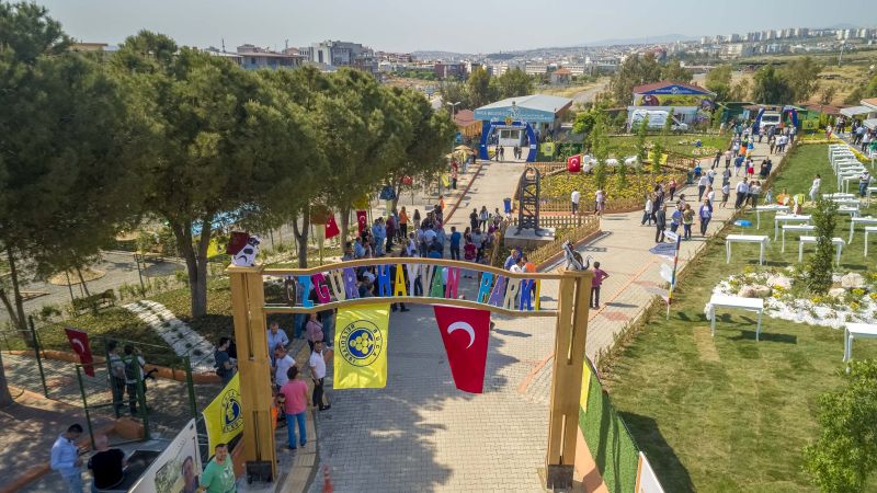 Sokak hayvanlarına beş yıldızlı konfor