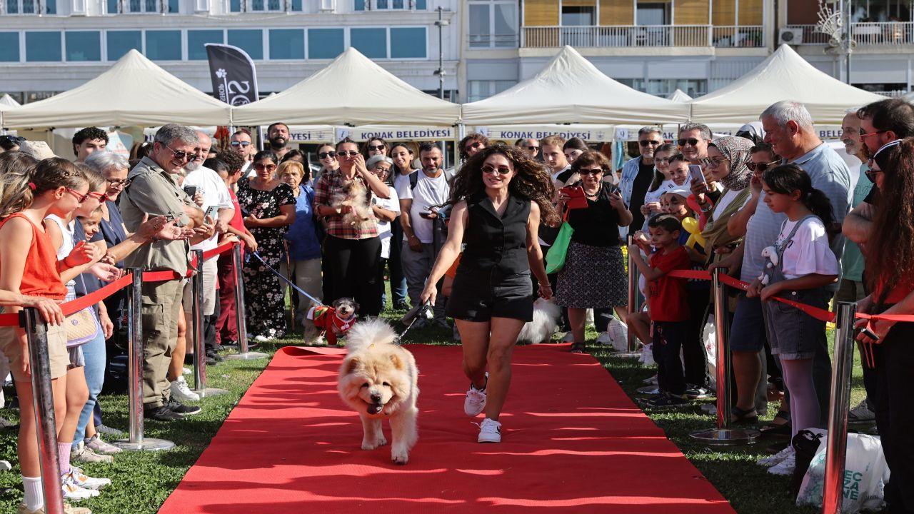 Patilerin Festivali 6 yaşında