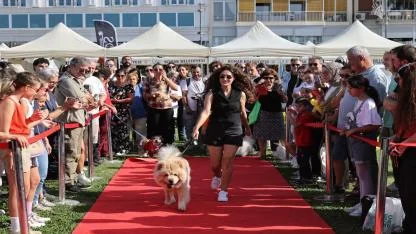 Patilerin Festivali 6 yaşında