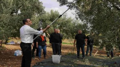 Çağatay Güç: “CHP İktidarımızda Zeytincilik Hak Ettiği Değeri Görecek”
