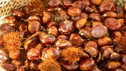 “Gözümüz gibi korumamız gerek”