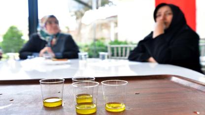 Bornova’da 1500 zeytin ağacında hasada başlandı