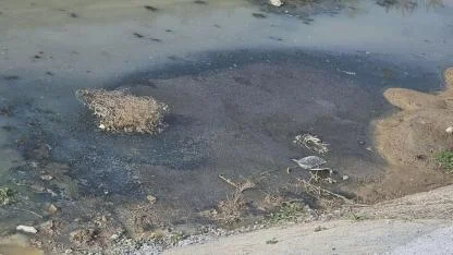 Büyükşehir, Temiz Çevre için Görev Başında