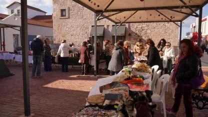 Her Şey Ayvalık Fidanları İçin