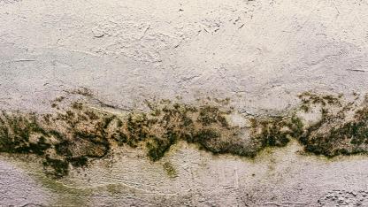 DEÜ’lü Alpaydın Uyardı: Rutubet Sağlığı Tehdit Ediyor