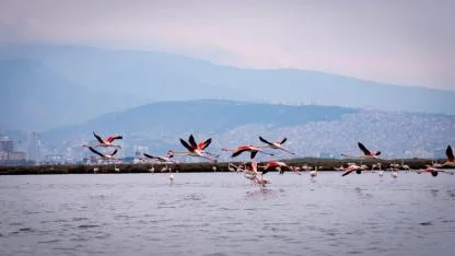 Doğa ve kültür  tutkunları yarıyıl tatilinde bu turlarda buluşacak