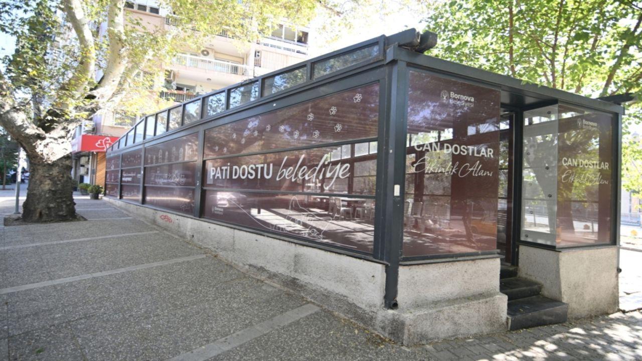 Eros Kedi Kliniği Bornova’da umut merkezi oldu