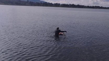 Flamingoya hayat veren kurtarma operasyonu