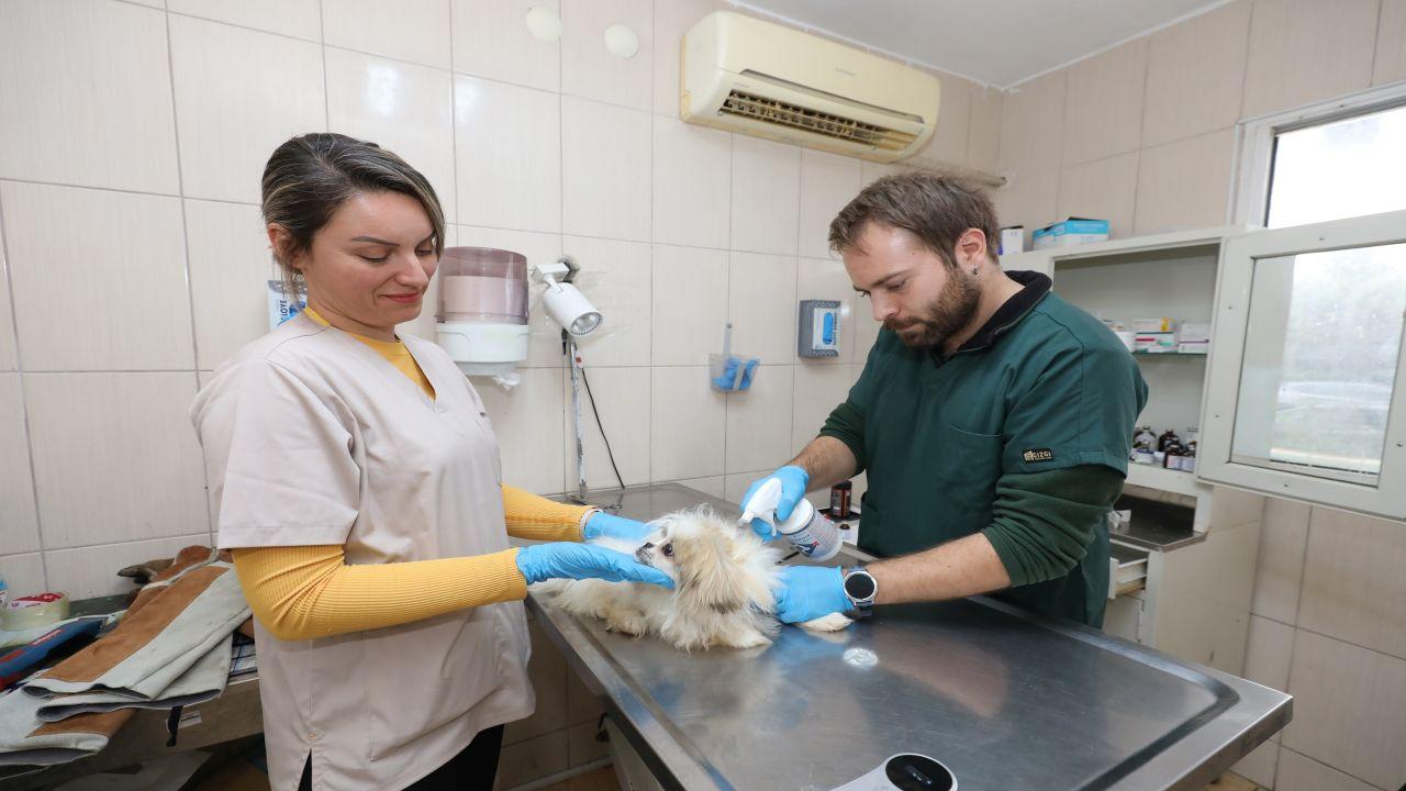 Gaziemir Belediyesi’nden can dostlara uzanan sevgi eli