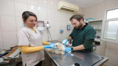 Gaziemir Belediyesi’nden can dostlara uzanan sevgi eli