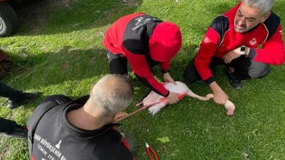 İzmir İtfaiyesi ayağına misina dolanan flamingoyu kurtardı