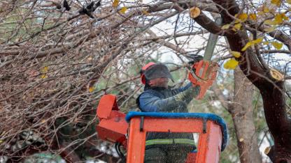 Öğrenciler tatilde, Konak Belediyesi ekipleri iş başında