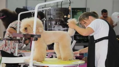 Pet İzmir 2026 Fuarı - Evcil Hayvan Sektörünün Buluşma Noktası