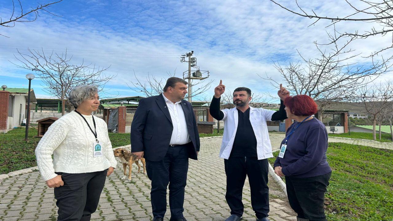 Seferihisar’da Sokak Hayvanları İçin Kulübe Destek Kampanyası
