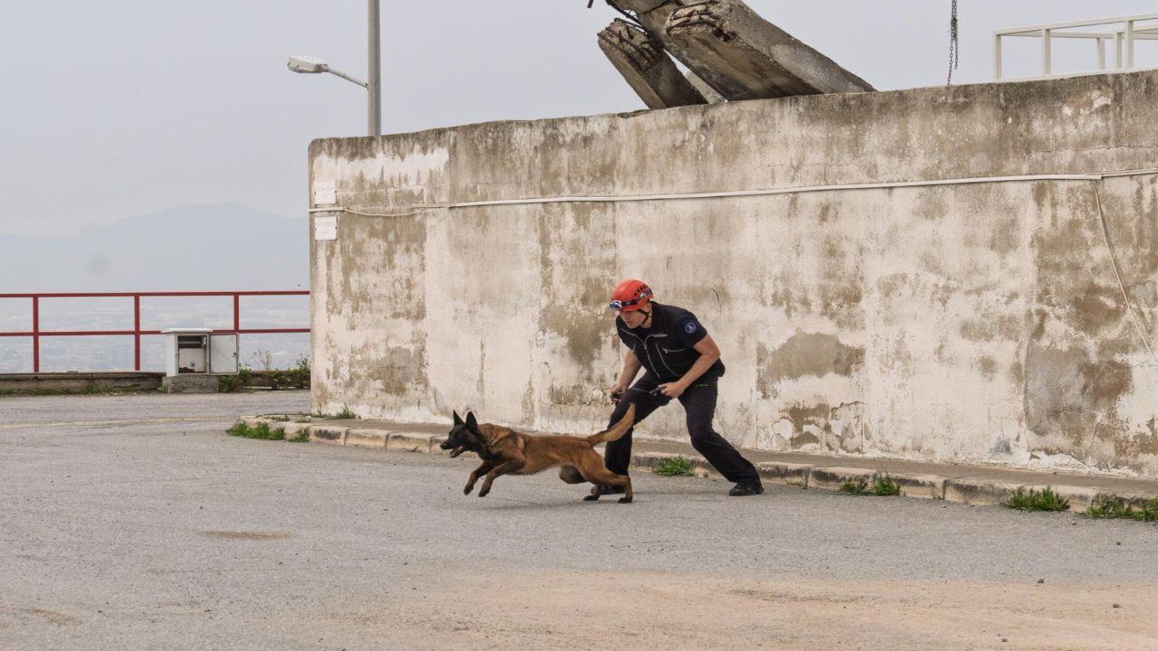 Barınaktan kahramanlığa