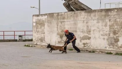 Barınaktan kahramanlığa